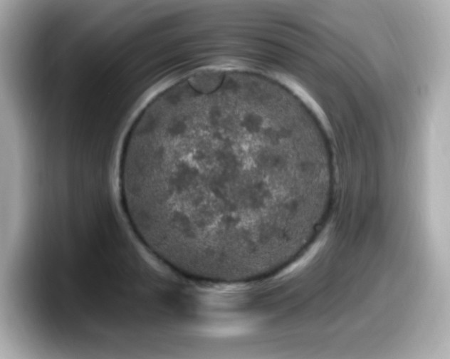 X0000099990845200805231451