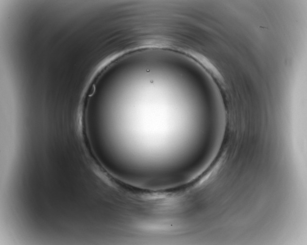 X0000099990846200805231451