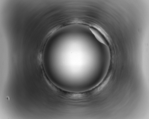 X0000099990849200805231451
