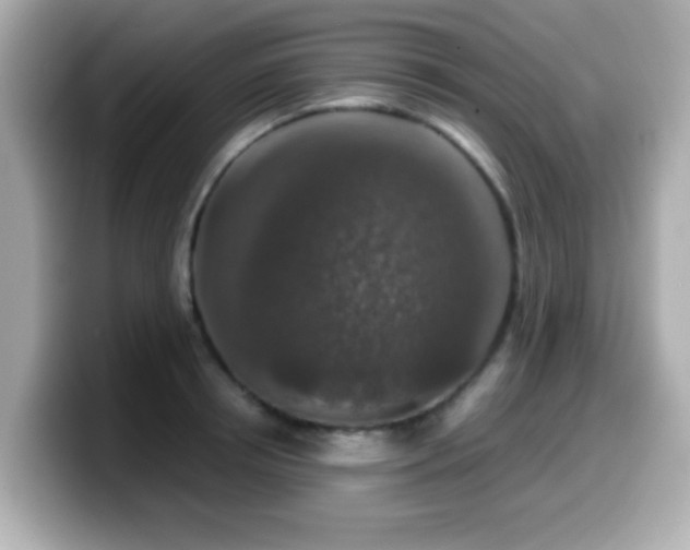 X0000099990850200805231451