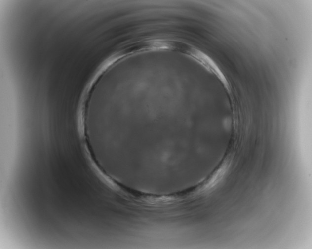 X0000099990851200805231451