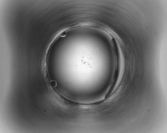 X0000099990852200805231451