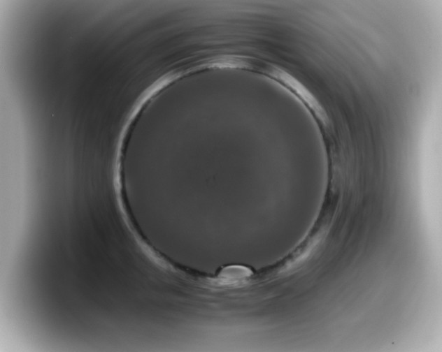X0000099990853200805231451