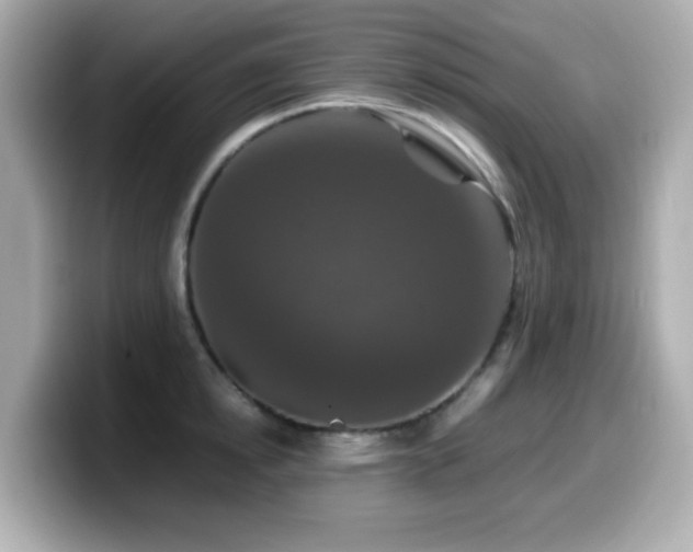 X0000099990854200805231451