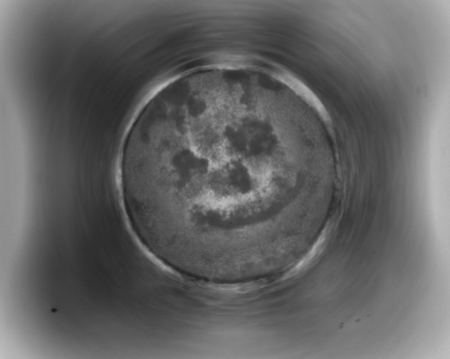 X0000099990855200805231451