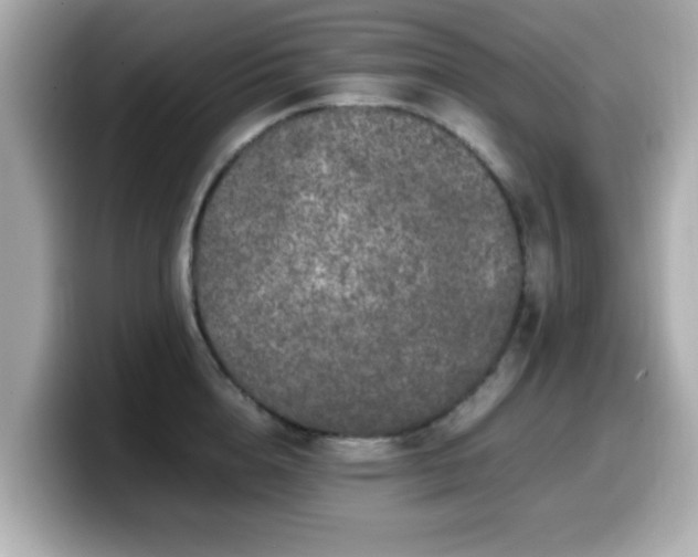 X0000099990856200805231451