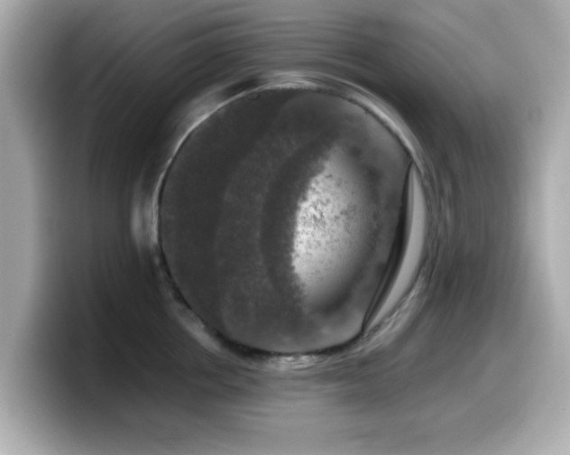 X0000099990858200805231451
