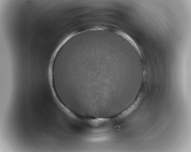 X0000099990859200805231451
