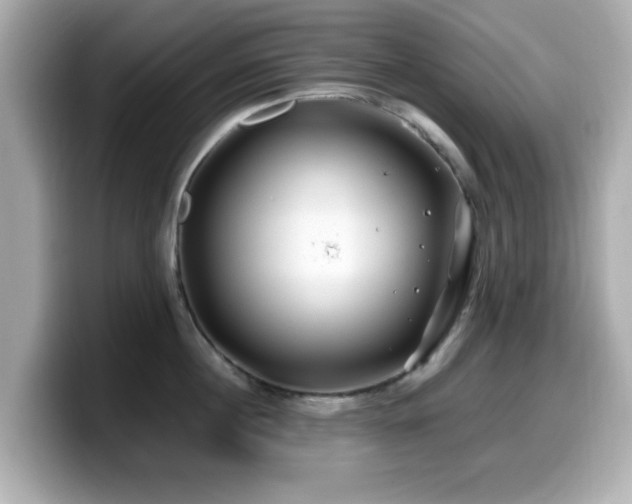 X0000099990860200805231451