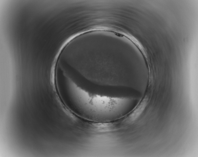 X0000099990862200805231451