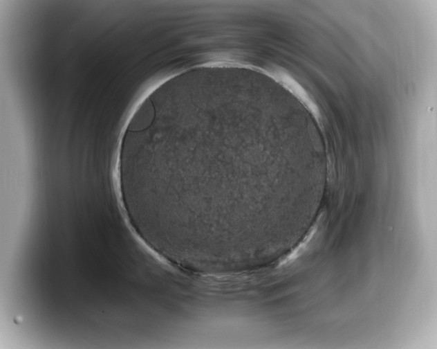 X0000099990863200805231451