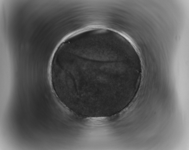 X0000099990864200805231451