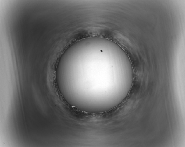 X0000099990865200805231451