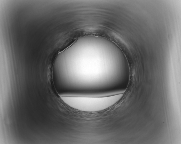X0000099990868200805231451
