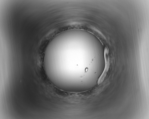 X0000099990869200805231451