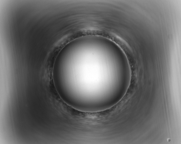 X0000099990870200805231451