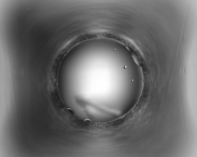 X0000099990871200805231451