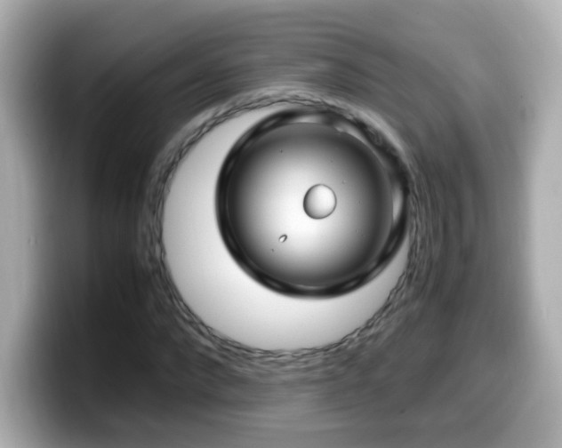 X0000099990872200805231451