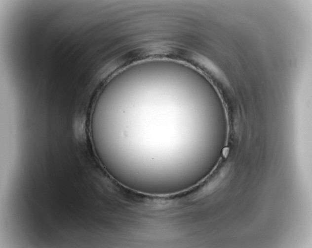 X0000099990873200805231450