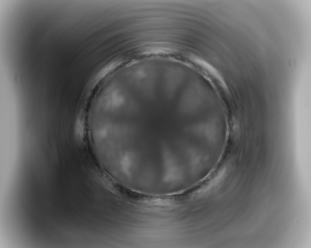 X0000099990874200805231450