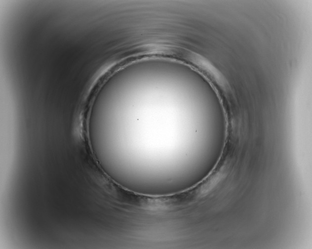 X0000099990875200805231450