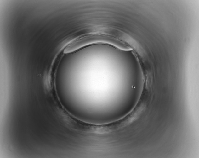 X0000099990876200805231450