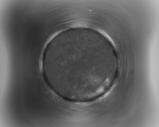 X0000099990877200805231450