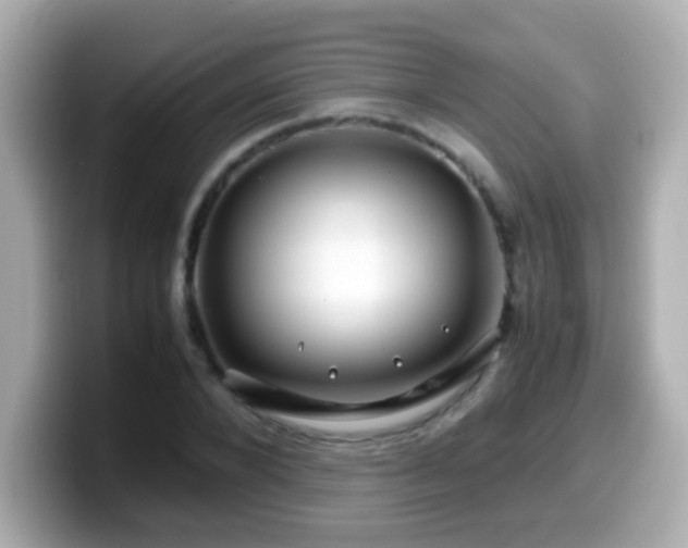 X0000099990880200805231450
