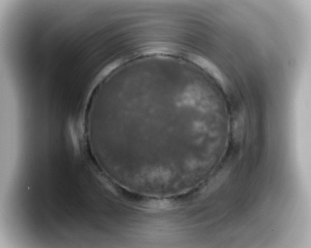 X0000099990882200805231450