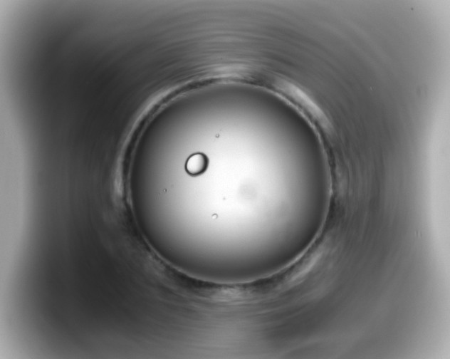 X0000099990883200805231450