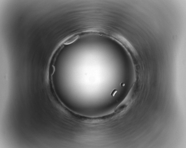 X0000099990884200805231450