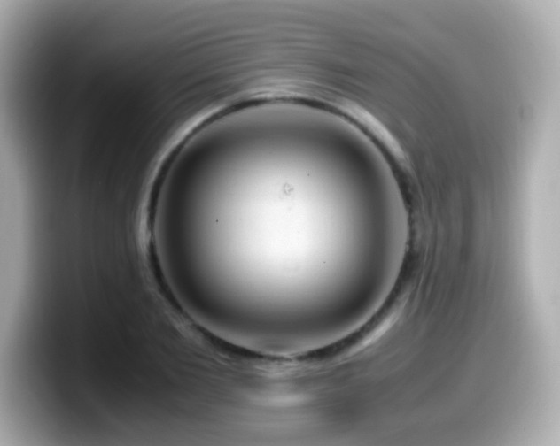 X0000099990885200805231450