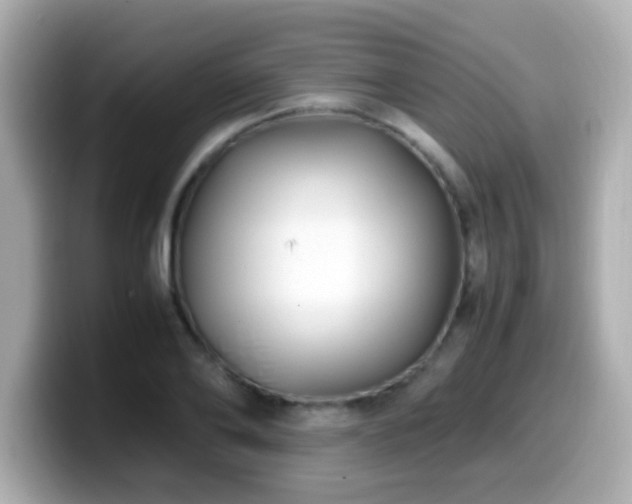 X0000099990886200805231450