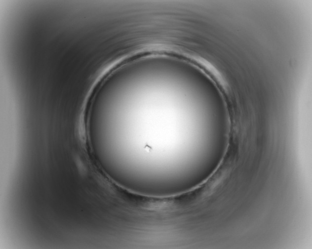 X0000099990887200805231450