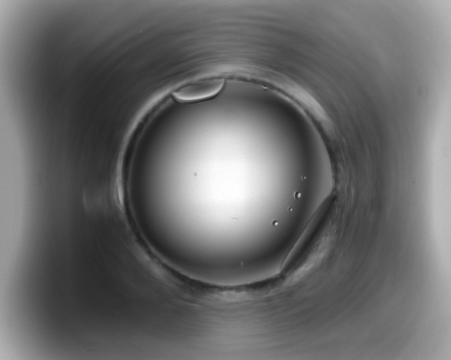 X0000099990888200805231450