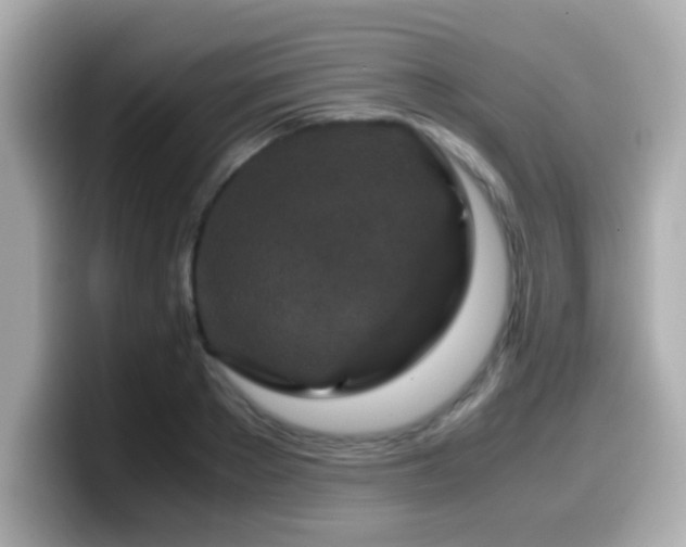 X0000099990889200805231450