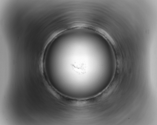X0000099990890200805231450