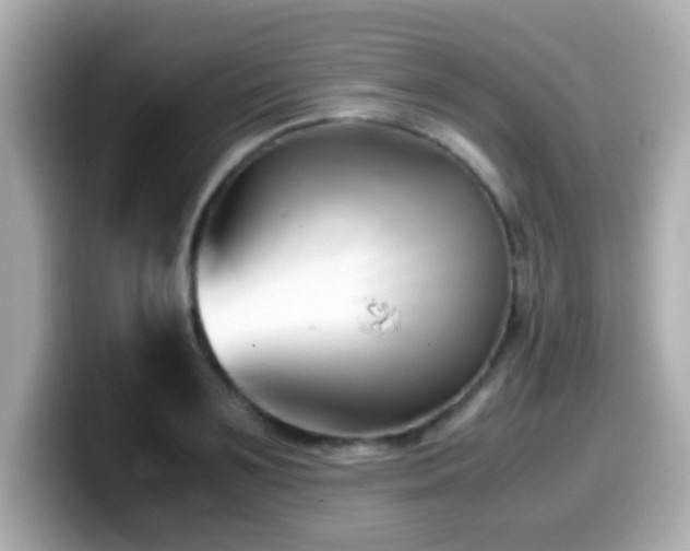 X0000099990891200805231450