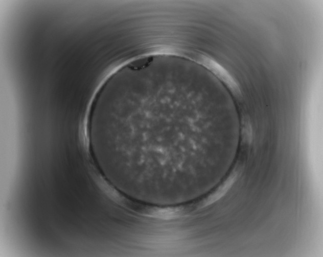 X0000099990892200805231450