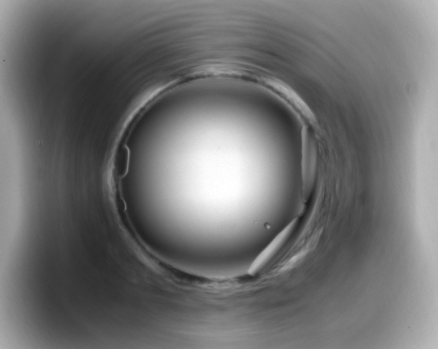 X0000099990893200805231450