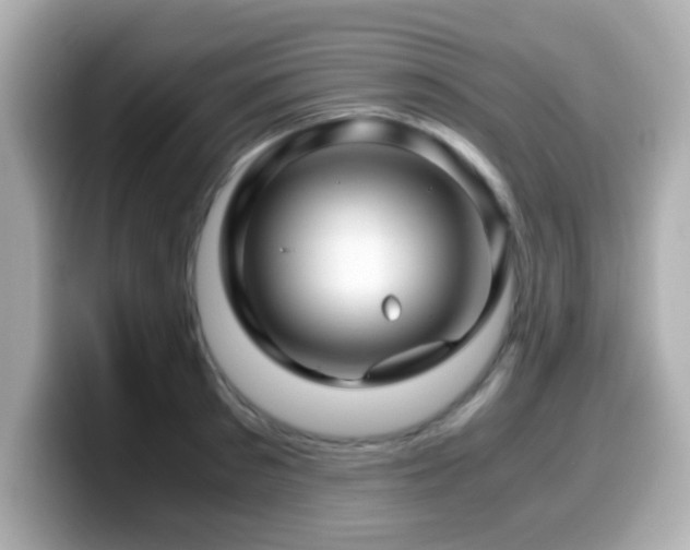 X0000099990897200805231450