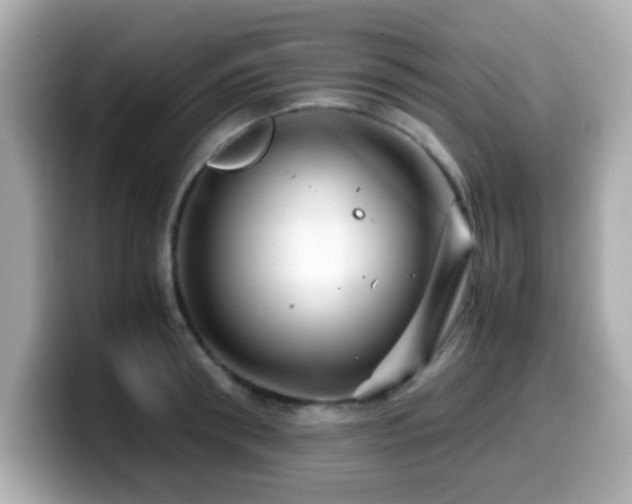 X0000099990898200805231450