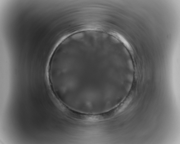 X0000099990899200805231450