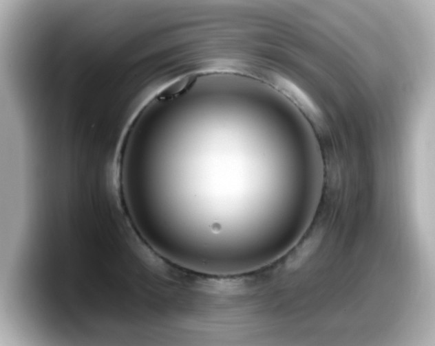 X0000099990900200805231450