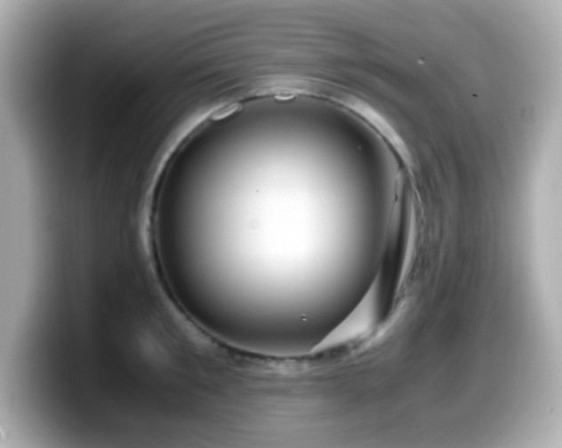 X0000099990901200805231450