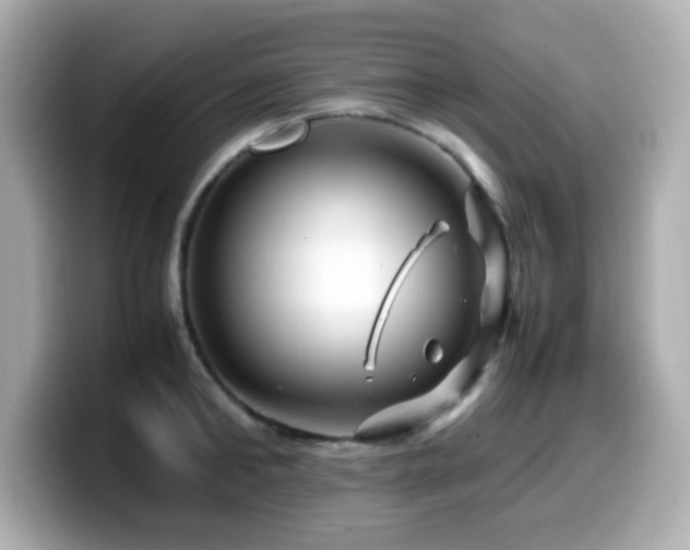 X0000099990902200805231450