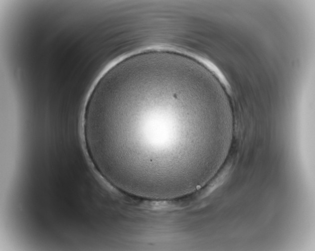 X0000099990903200805231450