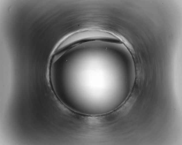 X0000099990904200805231450