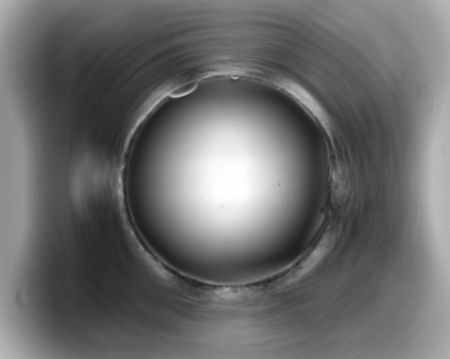 X0000099990906200805231450
