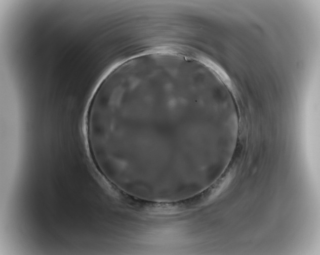 X0000099990907200805231450